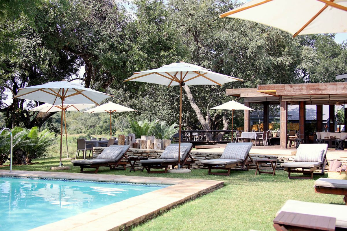 Becks-Safari-Lodge-South-Africa-bushveld-exclusive-Karongwe-Portfolio-environmental-sustainability-pool-side