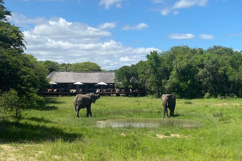 Best-rates-and-special-offers-for-Makhasa-Private-Game-Lodge-elephants-waterhole