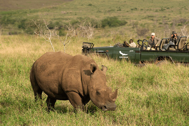 Best-rates-and-special-offers-for-Makhasa-Private-Game-Lodge-game-drive