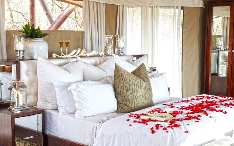Best-rates-and-special-offers-for-thanda-tented-camp-luxury-suite