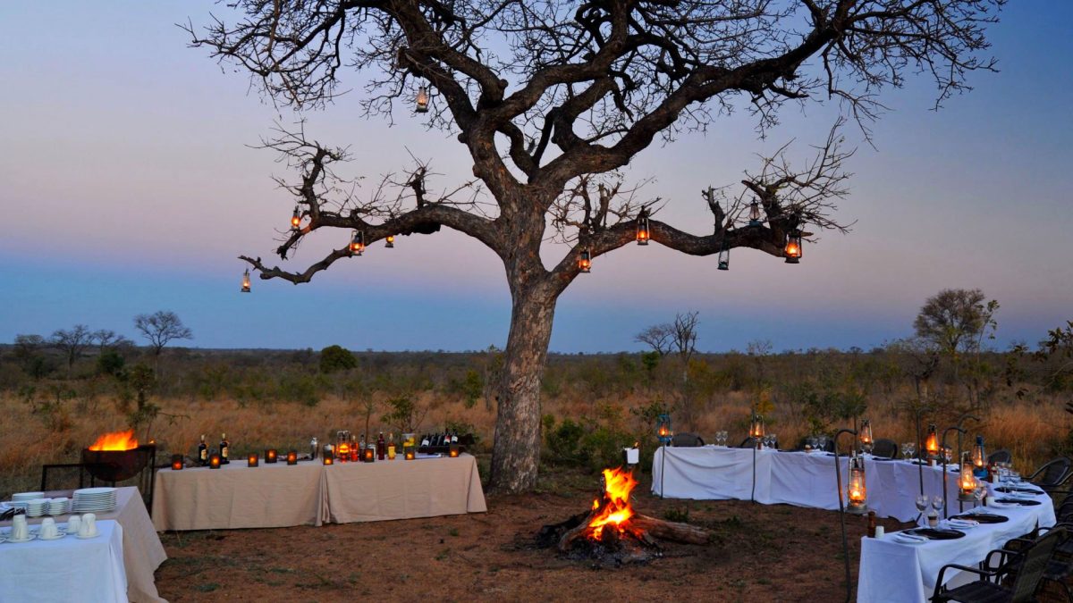 Idube-bush-dinner