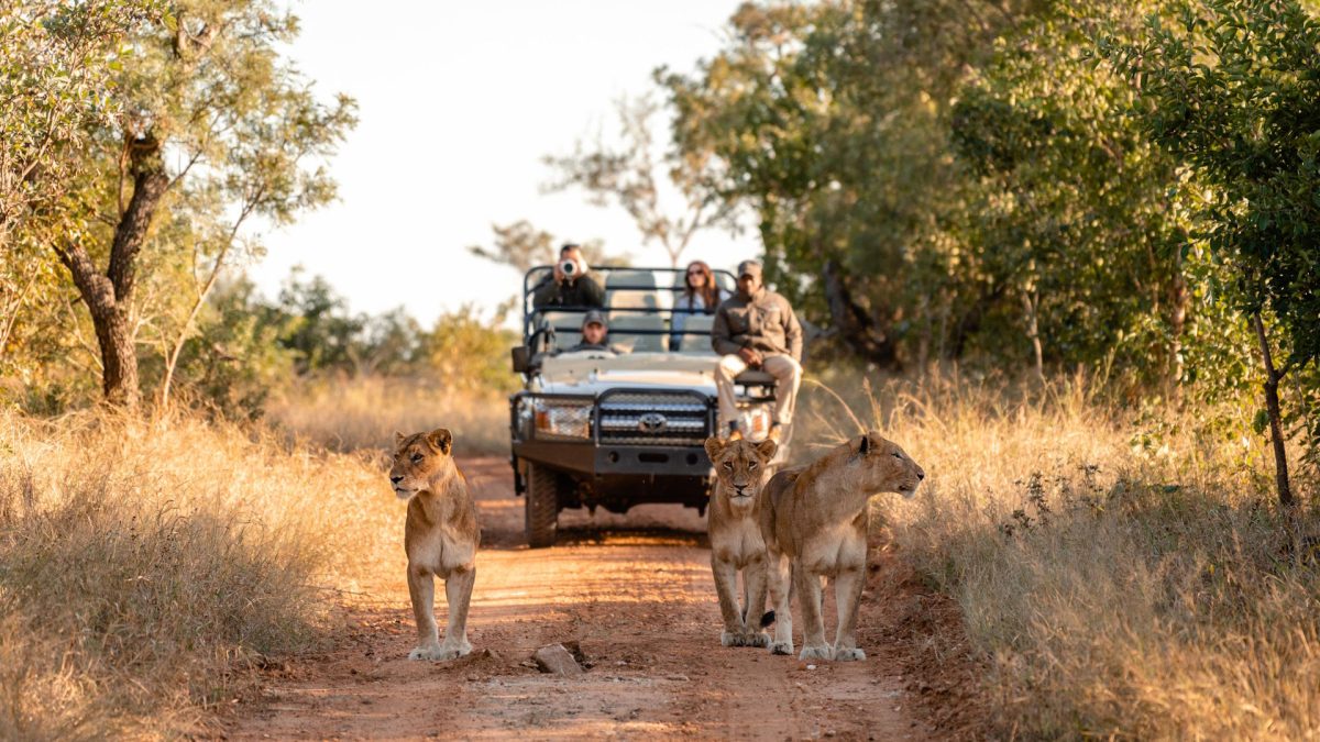Kapama-Wildlife-Game-Drive