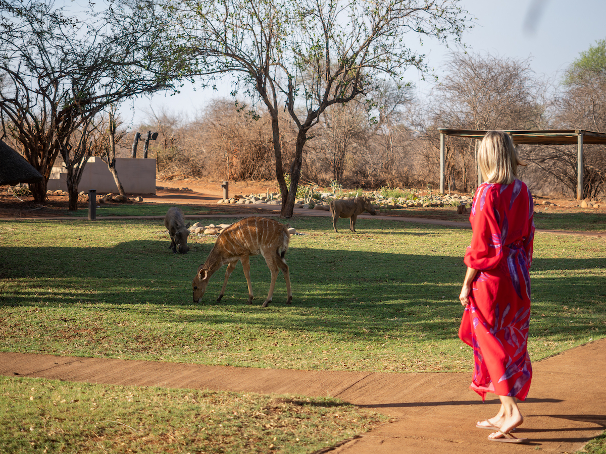 Makalali-River-Lodge43