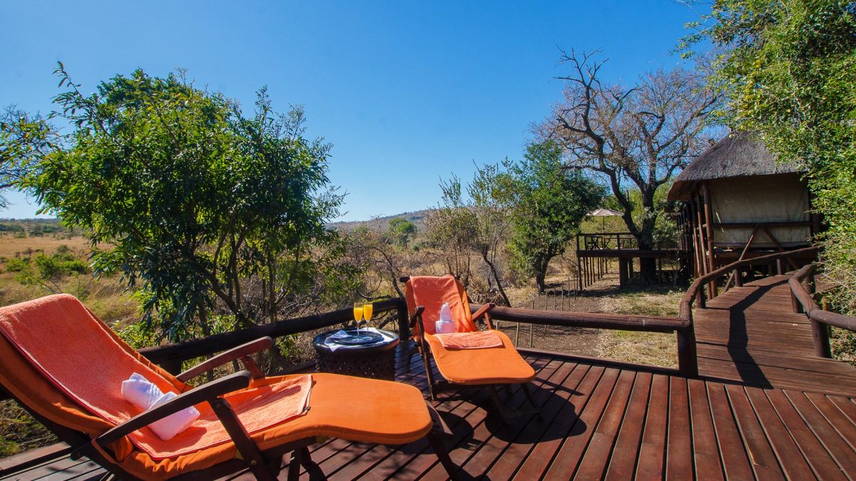 Shonga-Lodge-Kruger-Park
