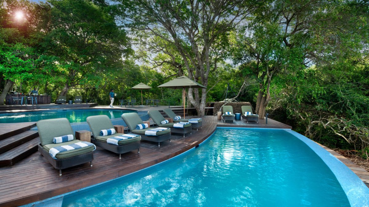 South-Africa-Phinda-Forest-Lodge-Guest-Area-Lodge-swimming-pool_1