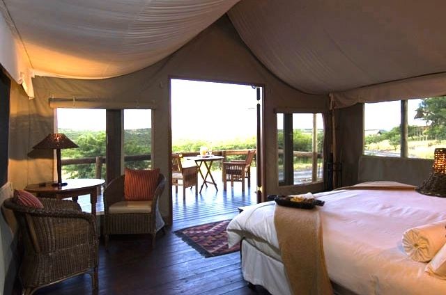 The-spacious-tents-have-hardwood-floors-and-air-conditioning