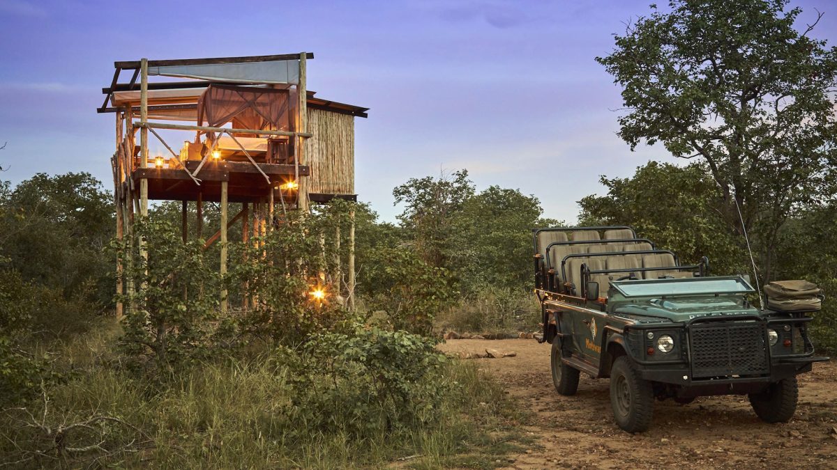motswari_private_game_reserve_giraffes_nest_12