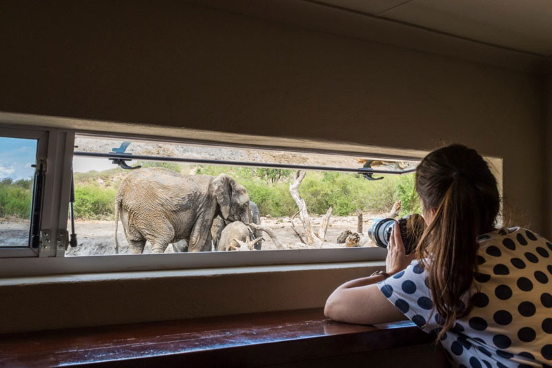 Best-rates-and-special-offers-for-impodimo-game-lodge-the-hide
