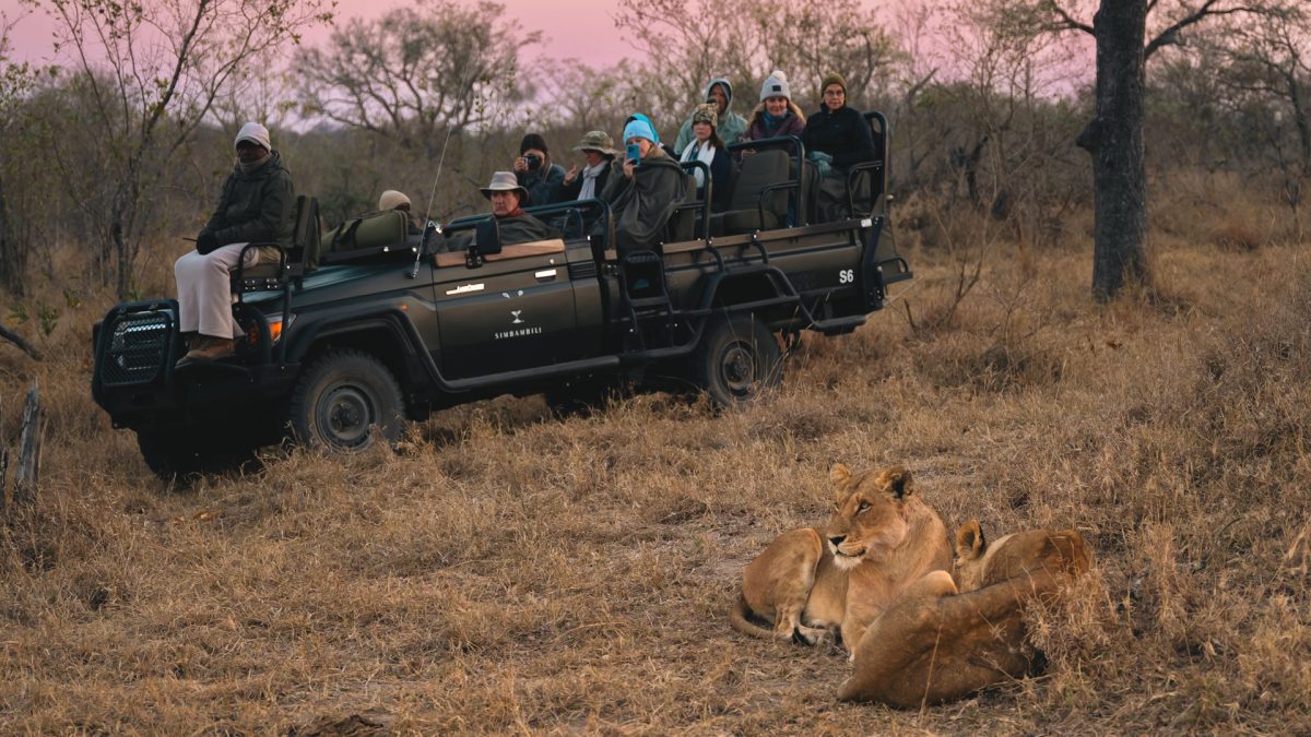 Game-drive-4