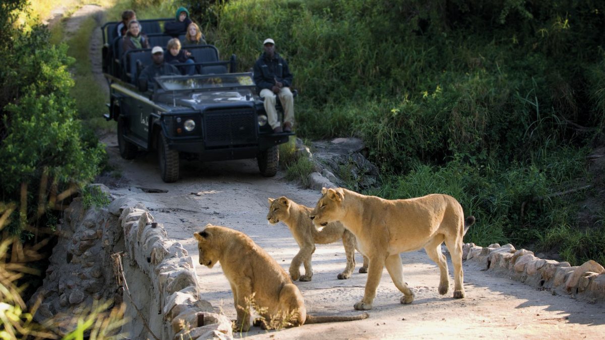 Lions-on-the-bridge