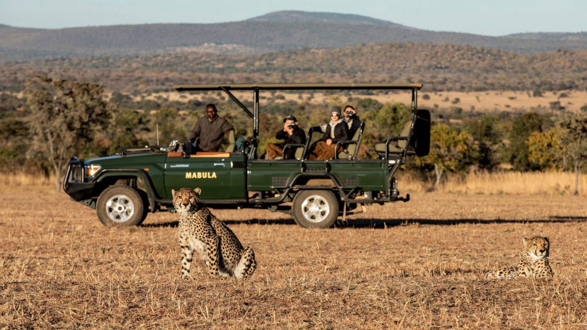 Mabula-game-drive-cheetah