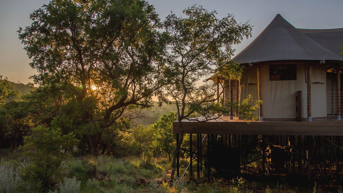 Nkomazi-Private-Game-Reserve-Family-Tent_4