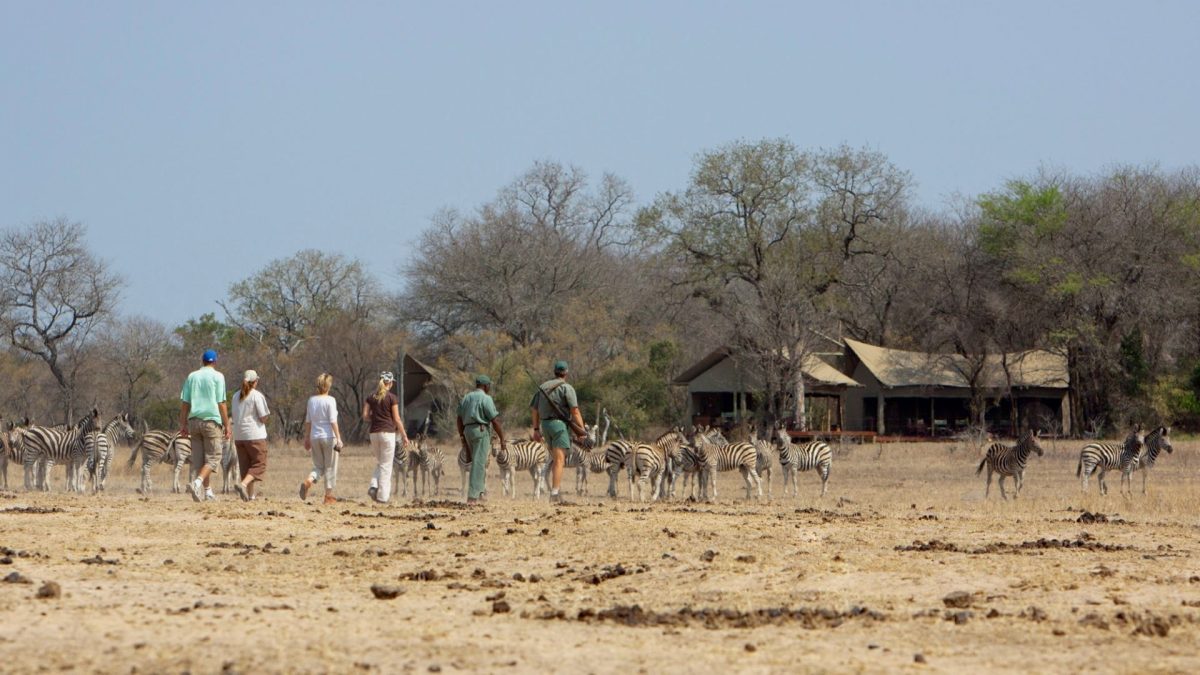 Photo taken at Rhino Walking Safaris Kruger National Park