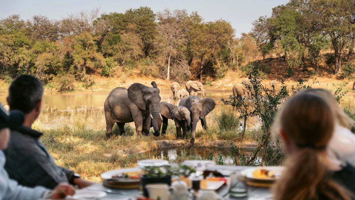 Simbavati-River-Lodge