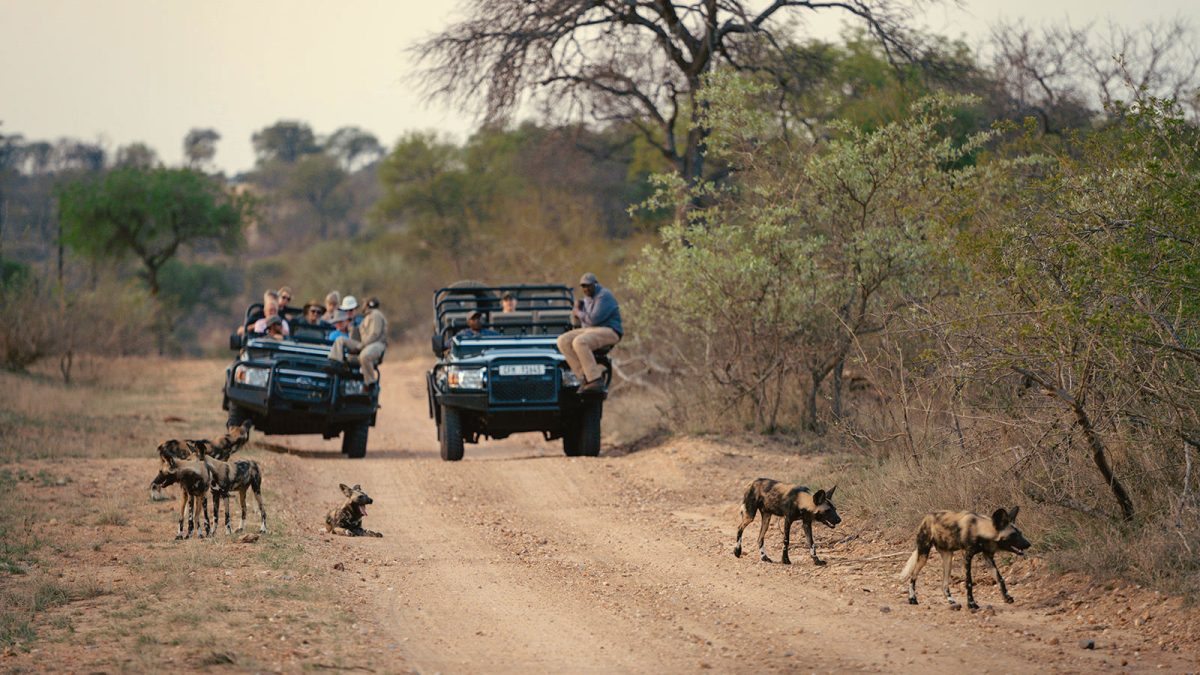 Thorny_Bush_Lodge-205