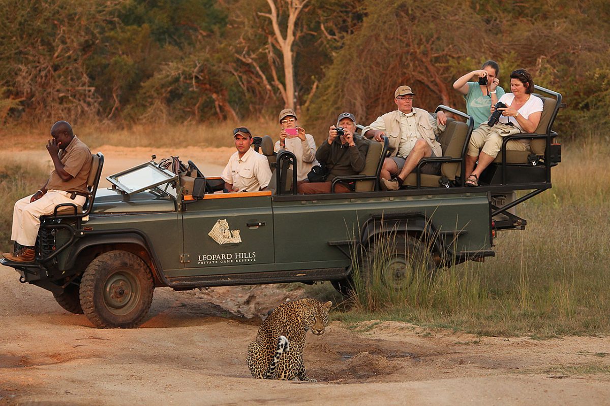 best-safari-areas-in-Africa