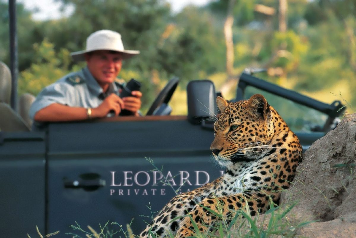 Game drive viewing