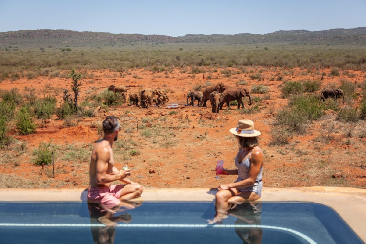 madikwe-hills-mvr-lodge-deck-pool-cocktails-06-1350x900