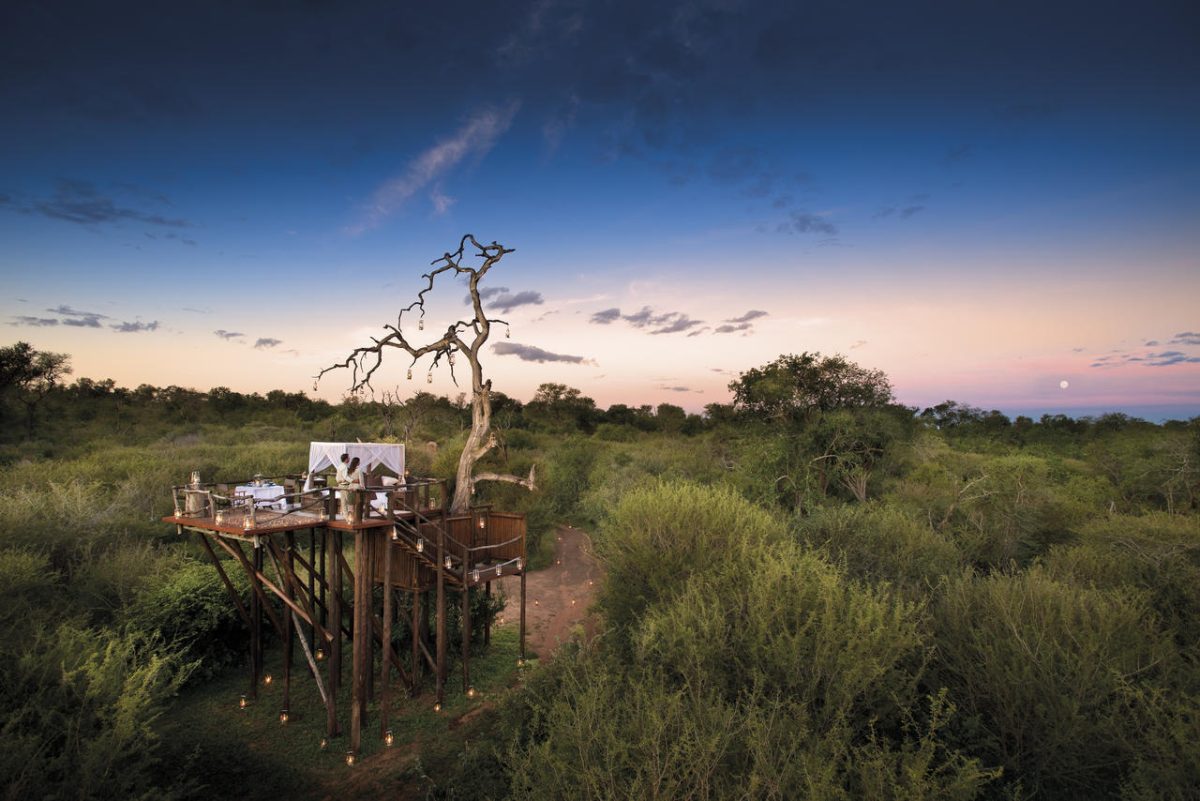tree_house06_COMP22